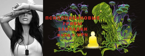 MESCALINE Богородицк